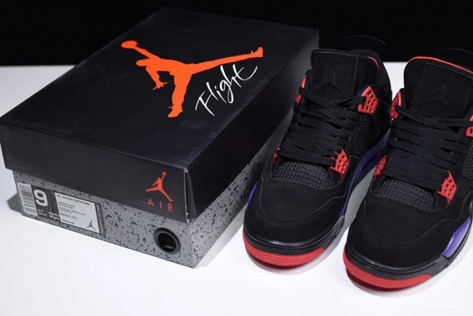 Jordan 4 Air Retro Raptors